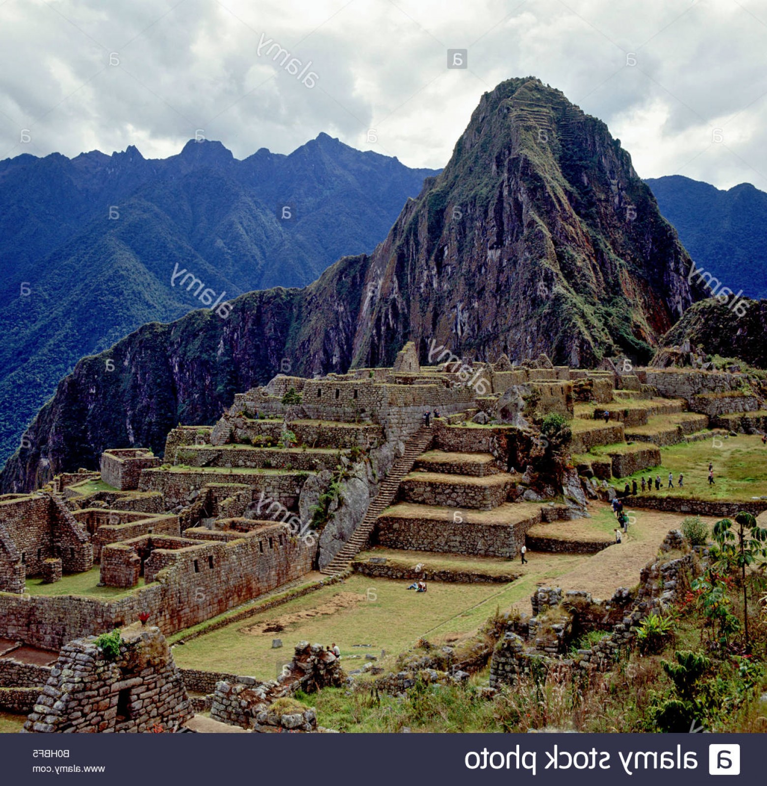 Vector South America Ancient Ruins Createmepink 1560x1599 Vector South America Ancient Ruins Createmepink