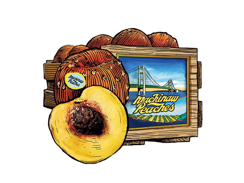 800x600 The Mackinac Bridge