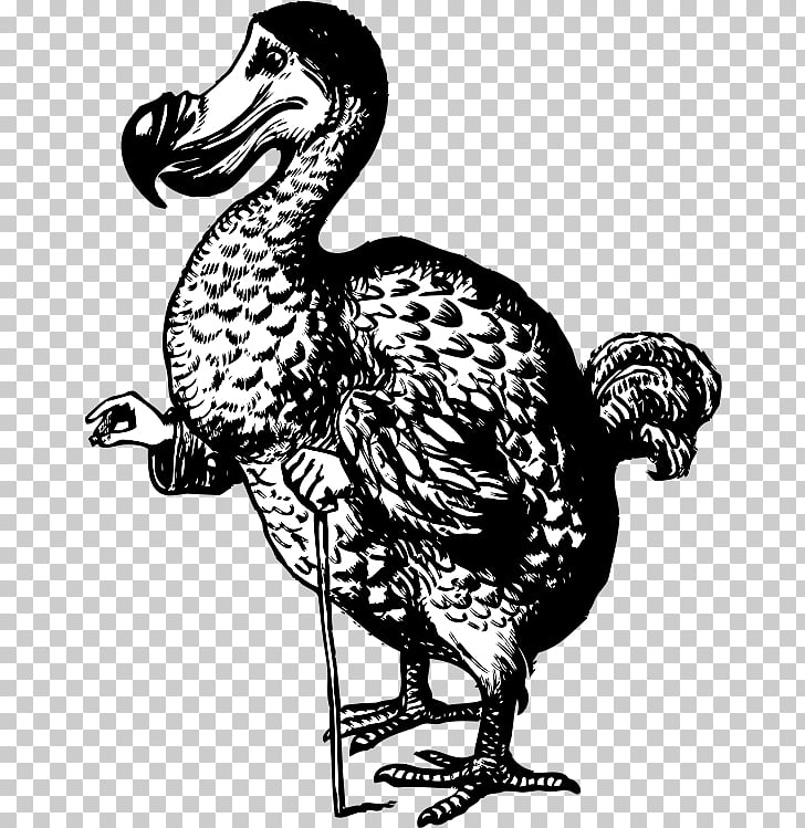 728x749 Dodo Alice's Adventures In Wonderland The Mad Hatter Tweedledum