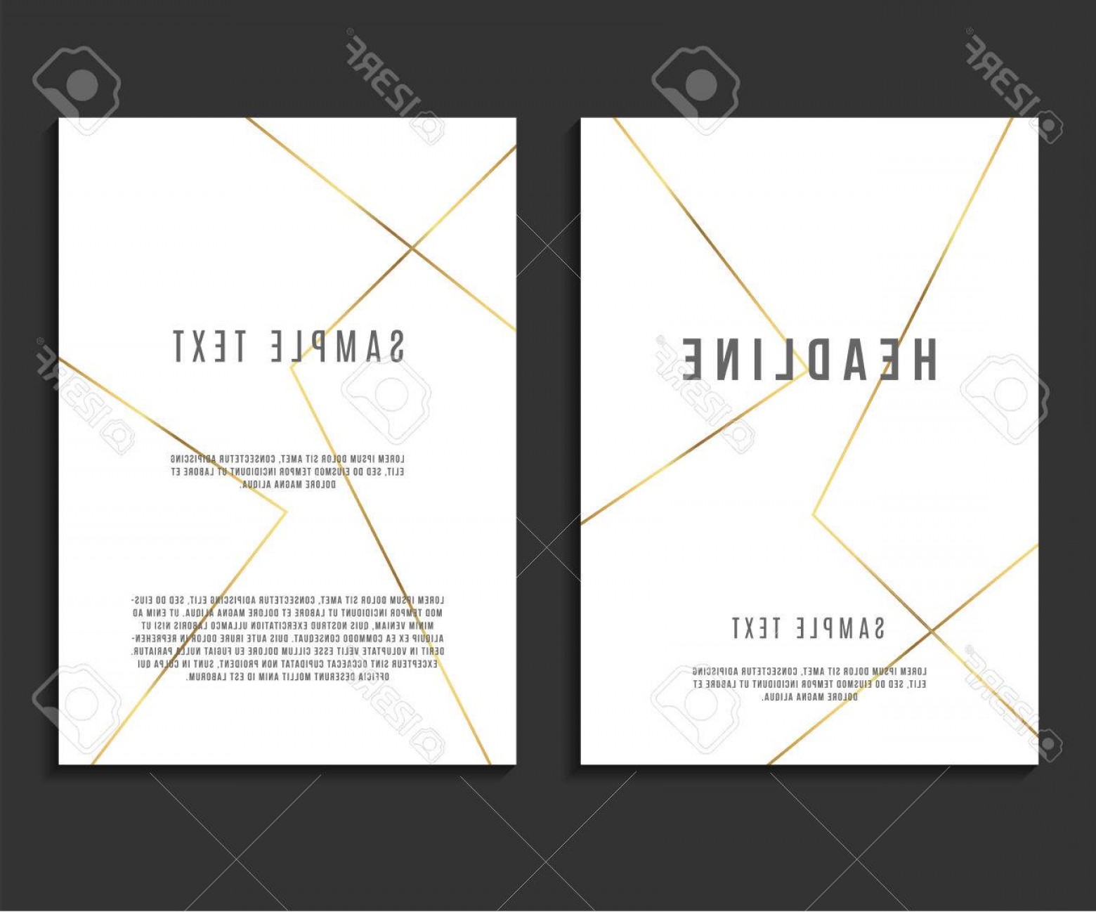 1560x1298 Photostock Vector Luxury Minimalism Design Vector Template Layout