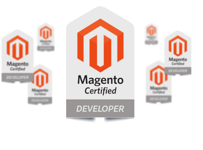 680x505 Fix Any Magento Error