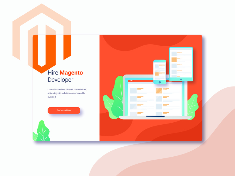 800x600 Hire Magento Developer