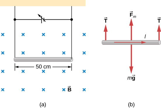 Magnetic Force Vector
