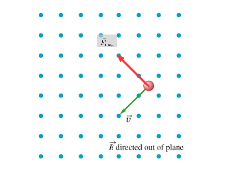 454x346 Mastering Physics Solutions Magnetic Force Vector Drawing