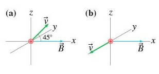 309x144 What Is The Magnetic Force F On The Proton Where A Proton Moves