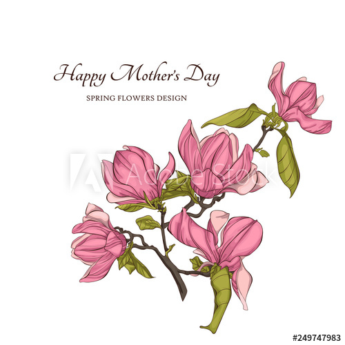 500x500 Magnolia Flower Vector Illustration Perfect For Background