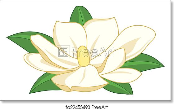 560x355 Free Art Print Of Magnolia Flower Vector Illustration Magnolia