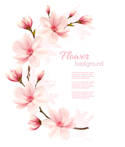 500x588 Pink Magnolia Flower Vector Background Free Download