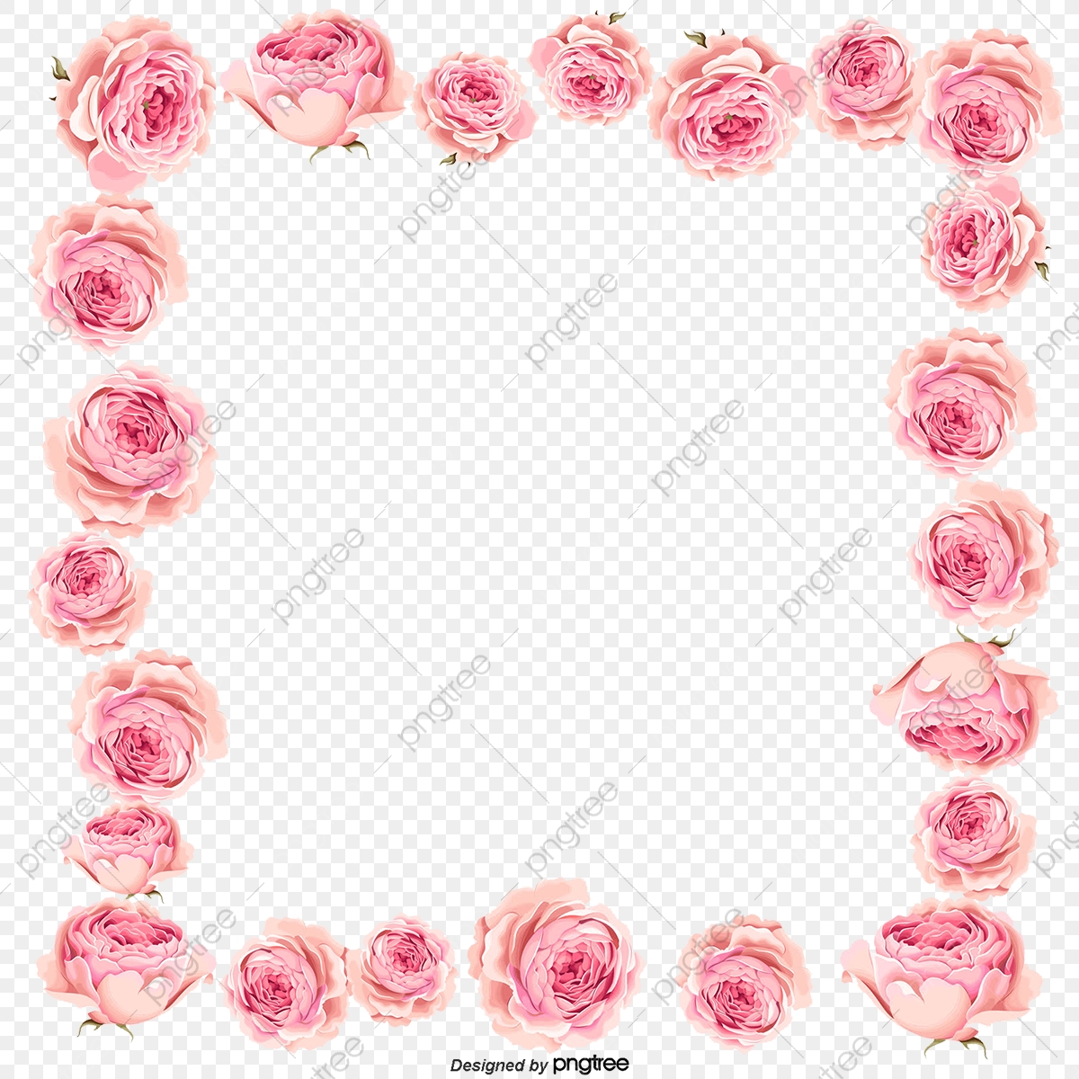 1200x1200 Vector Pink Magnolia Flower Border, Flower Vector, Border Vector