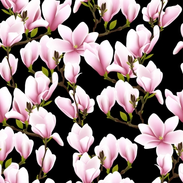 360x360 Magnolia Flower Png, Vector, And Clipart With Transparent