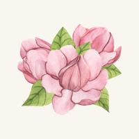 200x200 Magnolia Free Vector Art