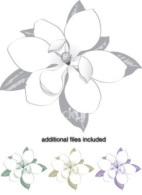 276x380 Large Magnolia Tree Flower, Huge Blossom, Done In Black And White