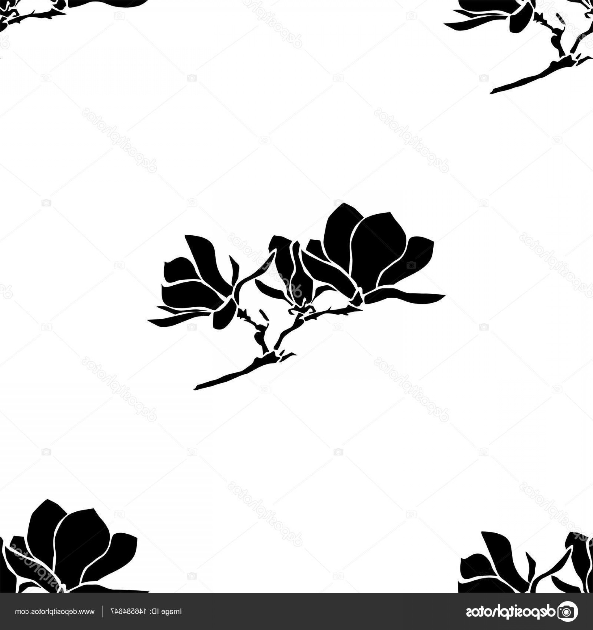 1920x2040 Magnolia Branch Vector Soidergi