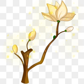 360x360 Magnolia Tree Png, Vector, And Clipart With Transparent