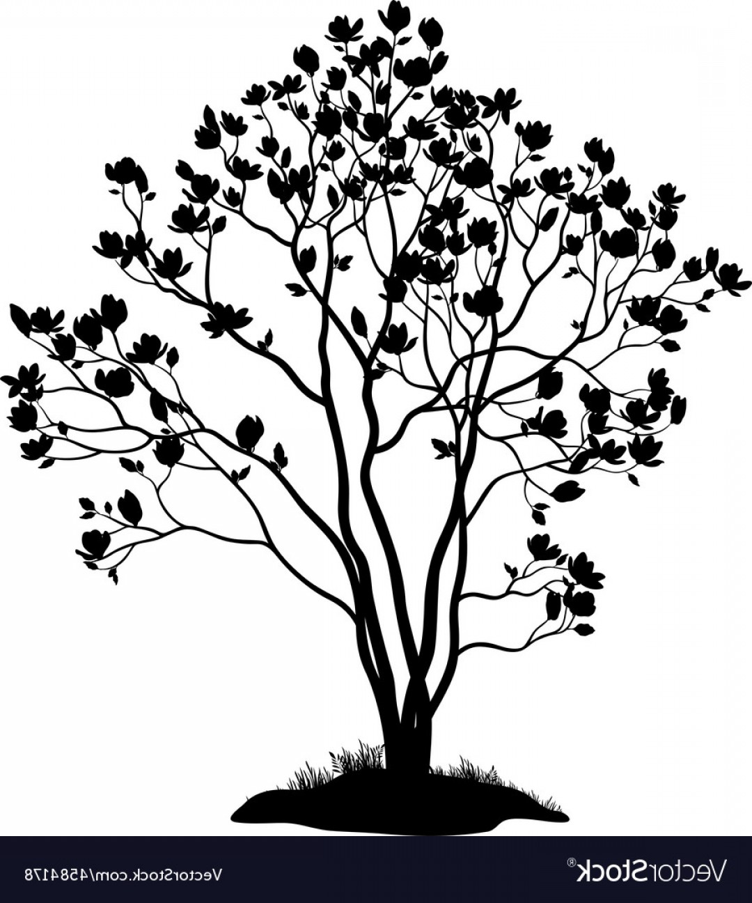 1080x1296 Magnolia Tree With Flowers And Grass Silhouette Vector Soidergi