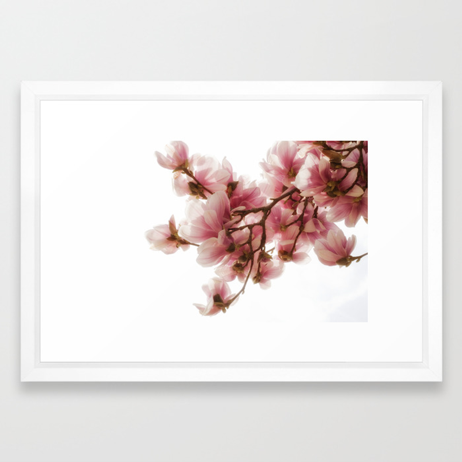 1500x1500 Magnolia Tree, Pretty Pink Blooms Framed Art Print