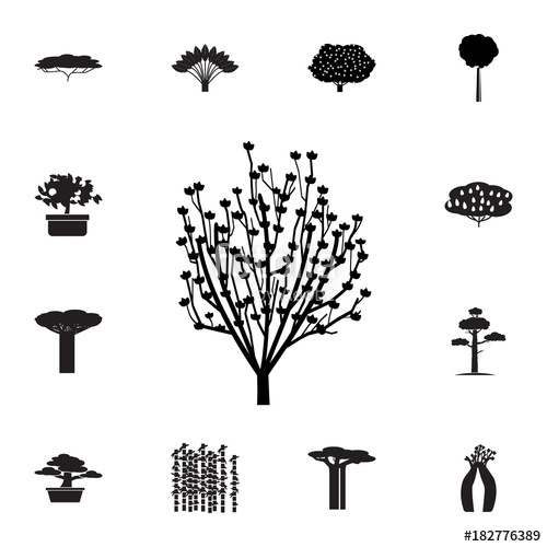 500x500 Magnolia Tree Icon Set Of Silhouette Of Tree Icons Web Icons