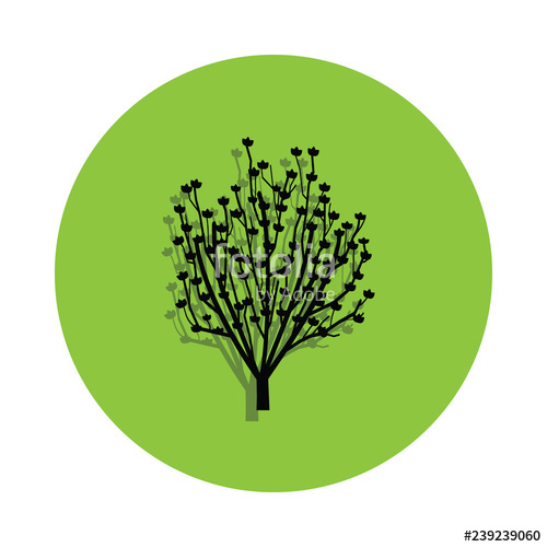 500x500 Magnolia Tree In Green Badge Icon Stock Image And Royalty Free