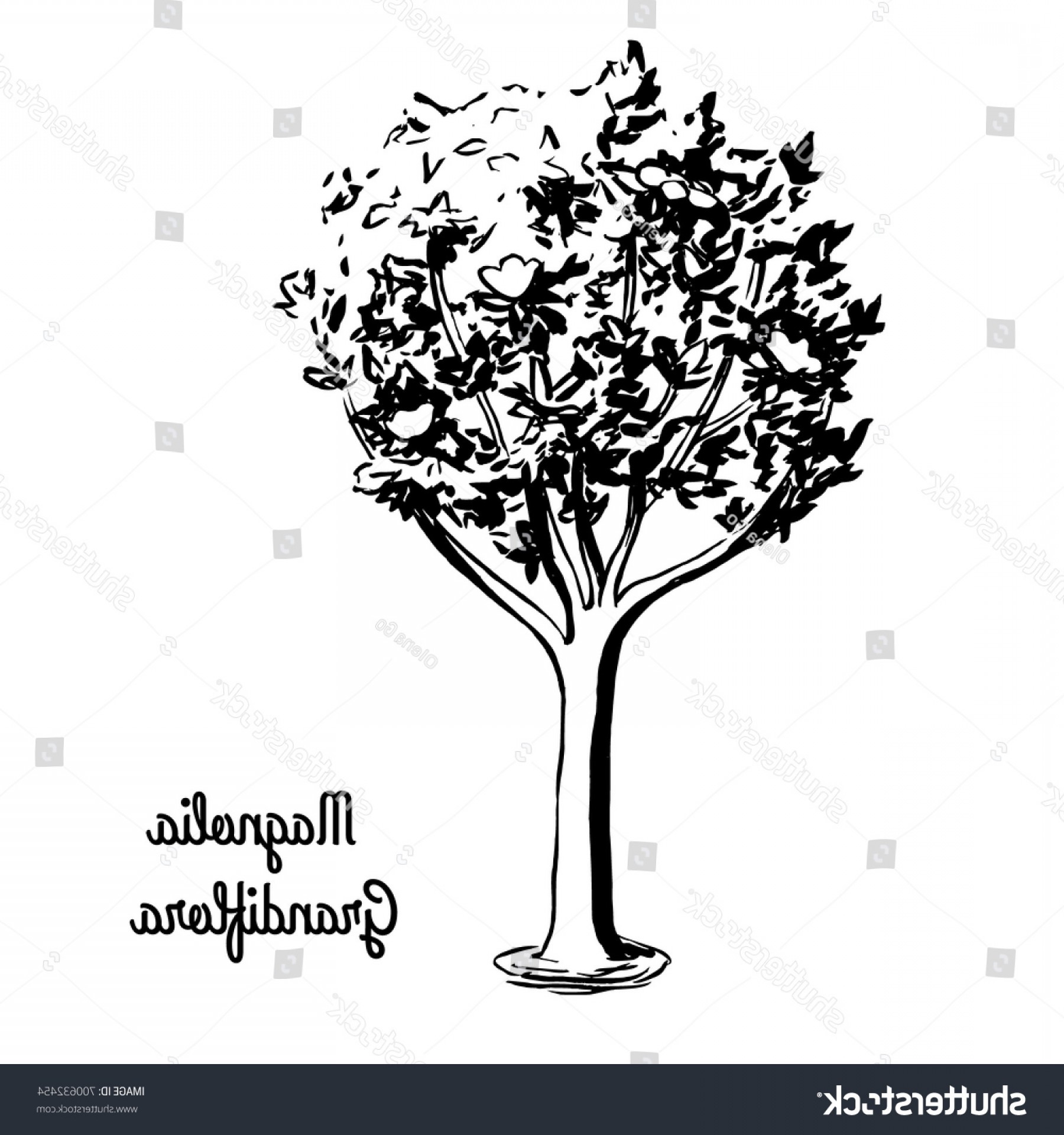 1800x1920 Mississippi Magnolia Vector Hoodamath