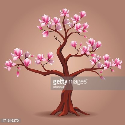 416x416 Pink Magnolia Tree Stock Vectors