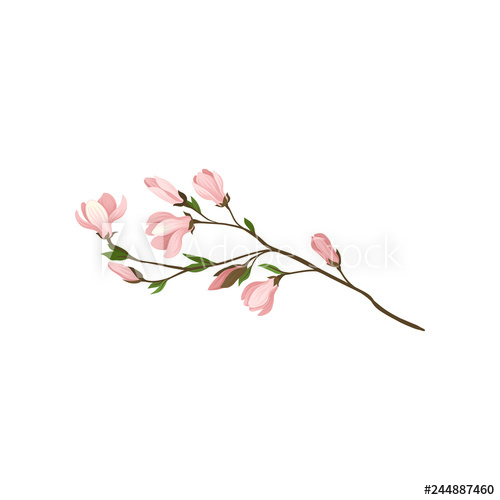500x500 Small Twig With Beautiful Pink Flowers And Green Leaves Fresh