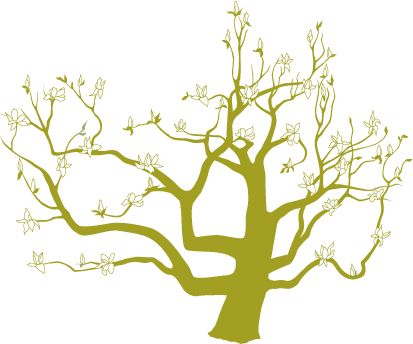 413x344 Southern Magnolia Tree Drawings Magnolia Tree Drawing Japanese