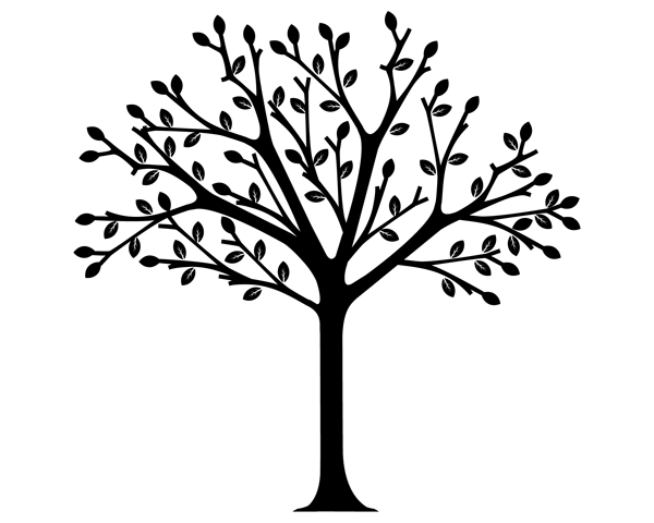 600x480 Collection Of 'magnolia Tree Silhouette' Download More Than