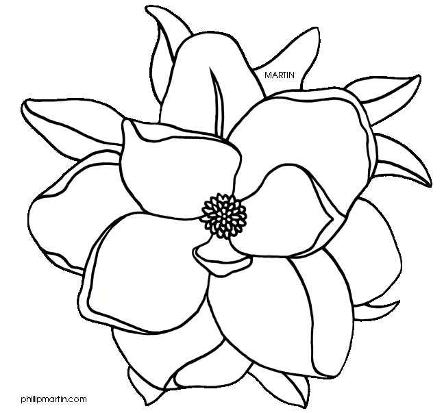 648x603 Magnolia Vector Clipart Images Gallery For Free Download Myreal