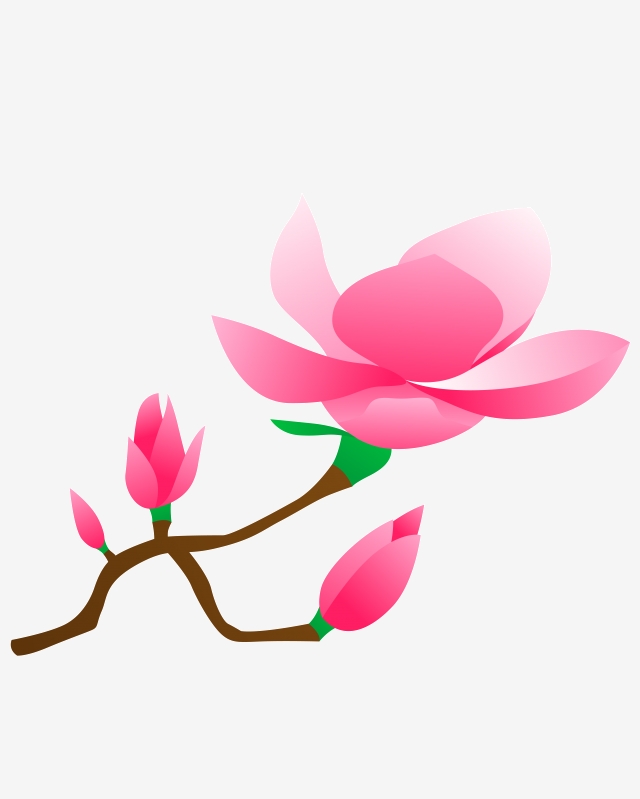 640x799 Vector Free Buckle Cartoon Magnolia, Flower Plant, Pomegranate
