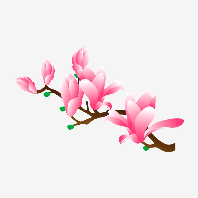 640x640 Vector Free Buckle Cartoon Magnolia, Oil Painting, Hanging