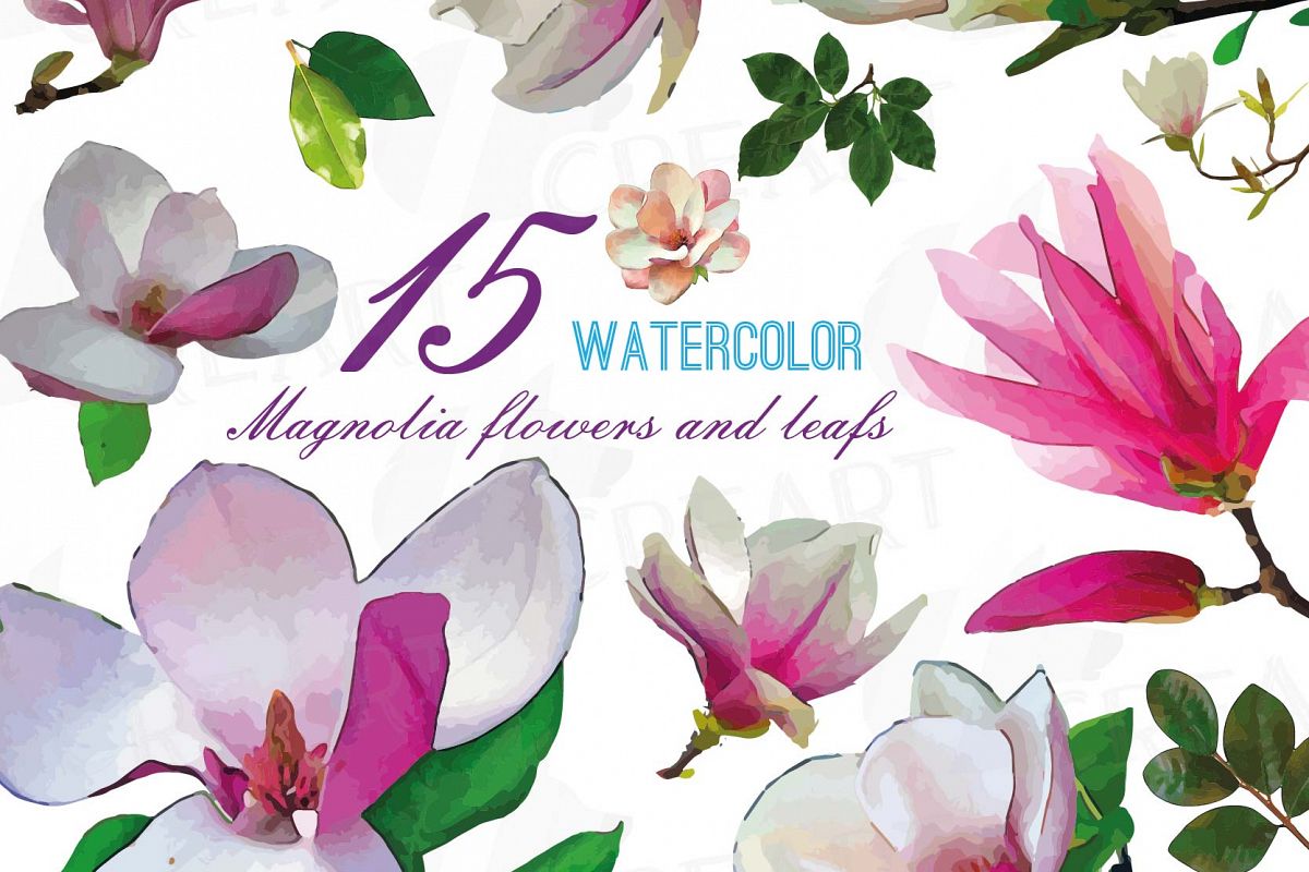 1200x800 Watercolor Pink Magnolia Flower And Leaf Clip Art Pack, Magnolias