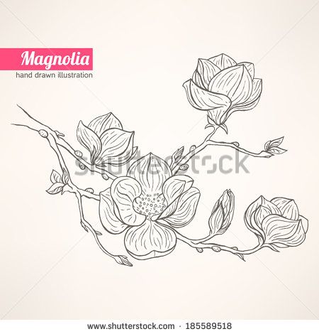 450x470 Found Some Free Vector Relate