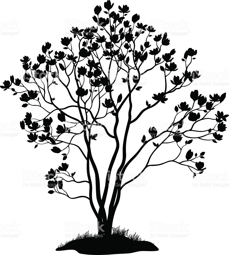 922x1024 Magnolia Silhouette Clipart Free Cliparts Download Images