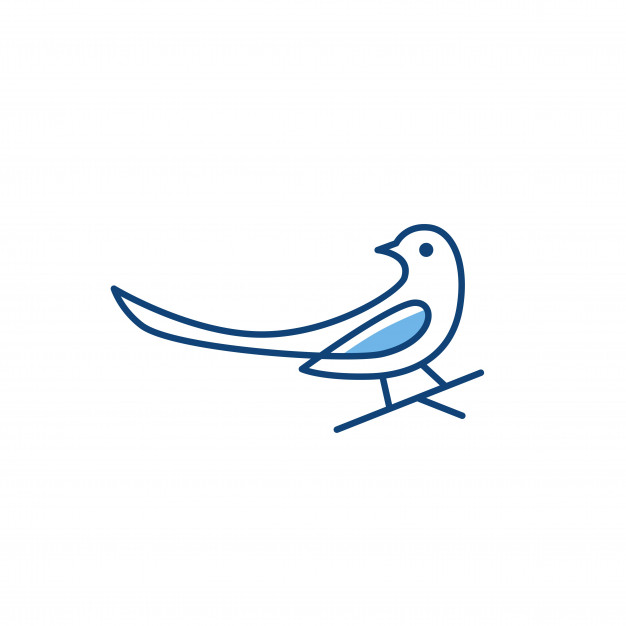 626x626 Magpie Bird Logo Vector Icon Illustration Vector Premium Download