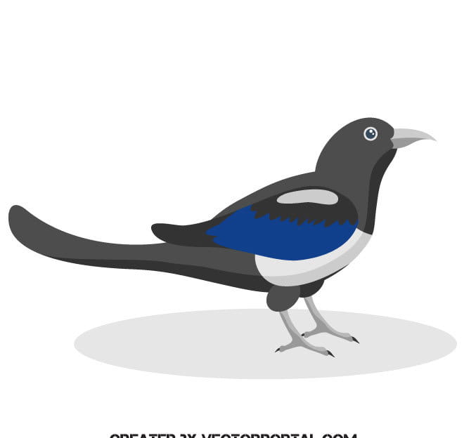 660x624 Magpie Bird Vector Clip Art Free Graphics Uihere