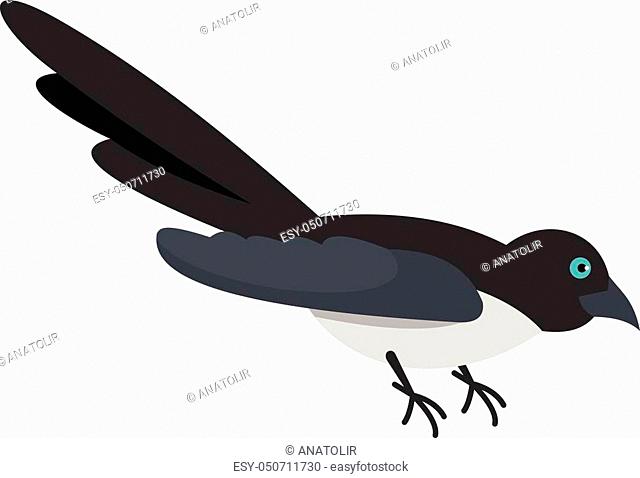 640x478 Magpie Flock Flight Stock Photos And Images Age Fotostock