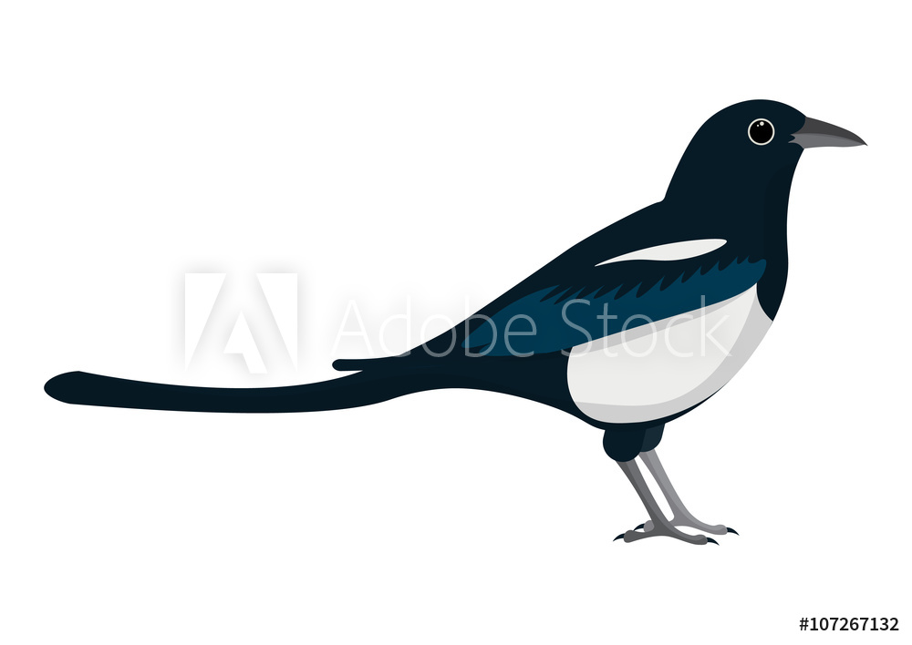 1000x708 Photo Art Print Magpie Cartoon Vector Illustration Europosters