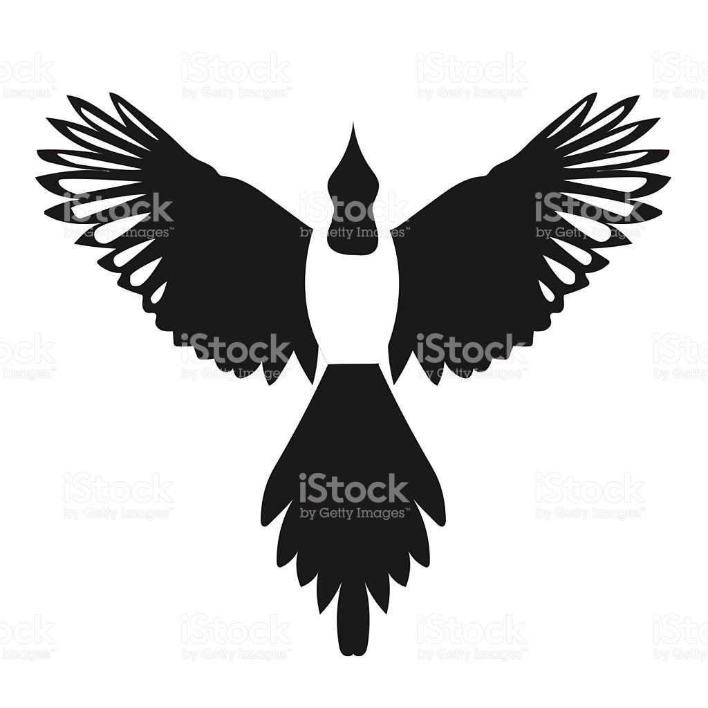 1024x1024 Silhouette Of A Flying Magpie Bird, Front View, Spread Wings