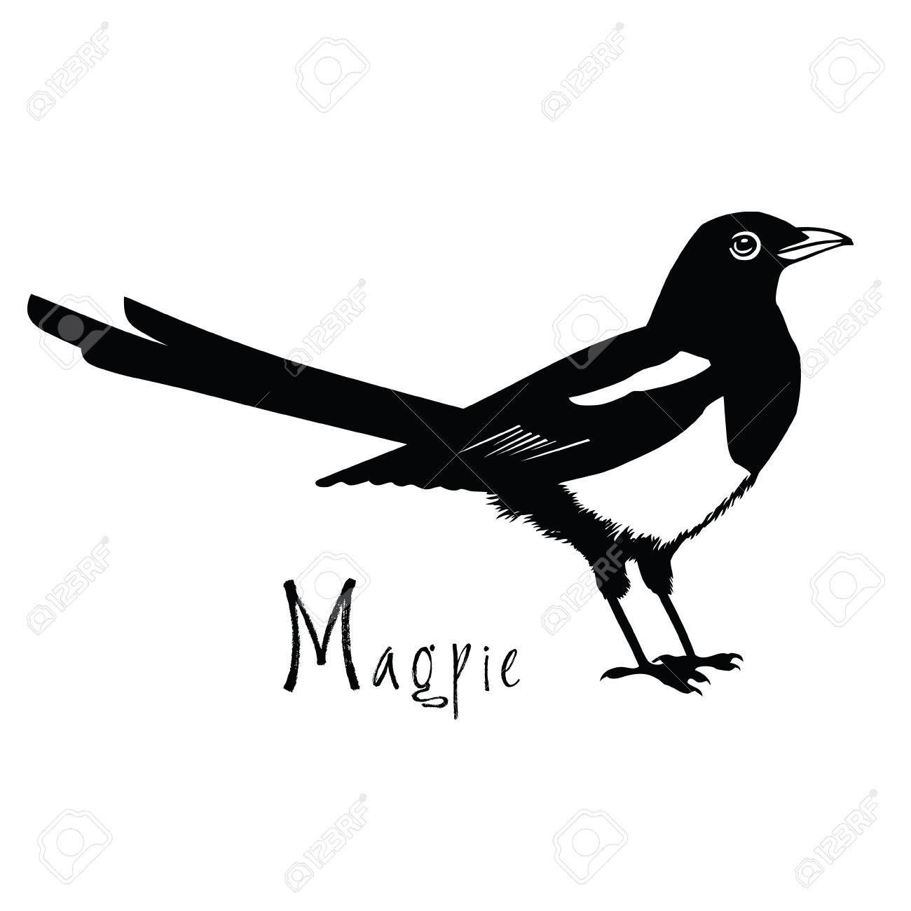 1300x1300 Stock Vector Birds Birds, Black, White, Black