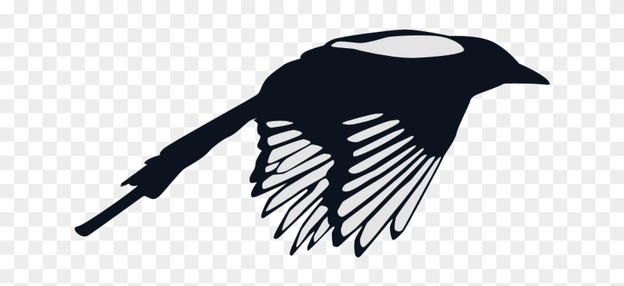 880x404 Chickadee Vector Clip Royalty Free