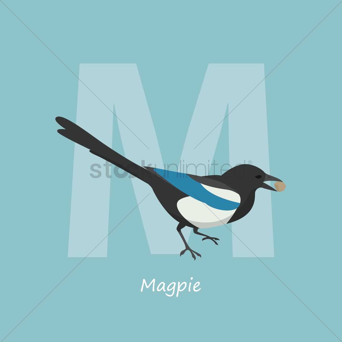 1300x1300 Free Letter M For Magpie Vector Image