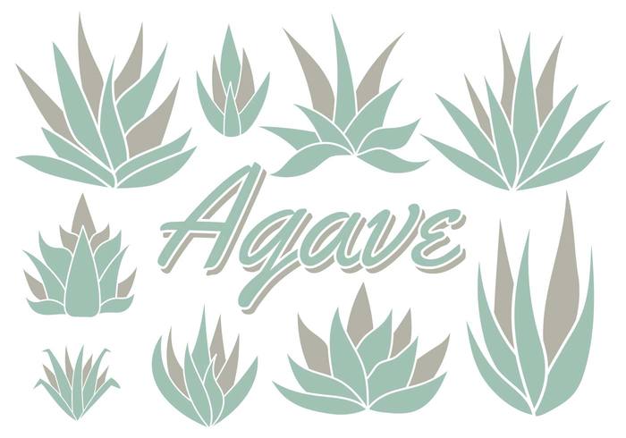 700x490 Free Maguey Vector Free Vectors Ui Download