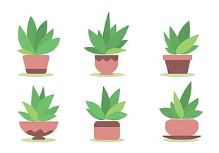 310x217 Free Maguey Vectors Free Graphics Uihere