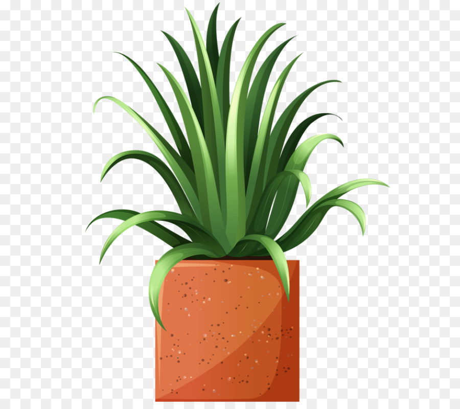 900x800 Grass Flower Clipart