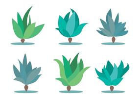 286x200 Maguey Free Vector Art