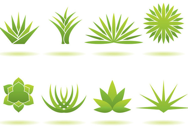 632x443 Maguey Logos Free Vector Download Cannypic