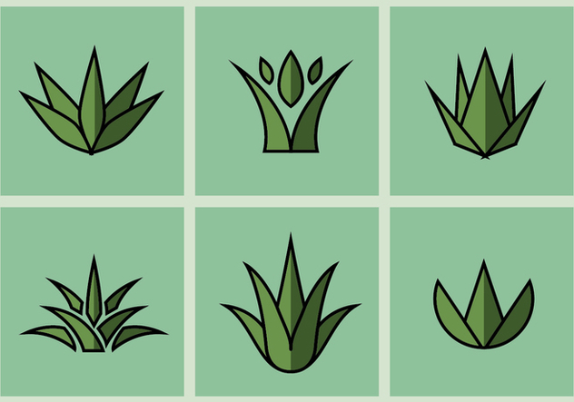 632x443 Maguey Vector Illustrations Free Vector Download Cannypic