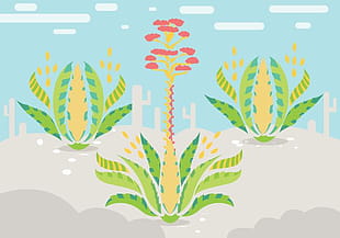 310x217 Maguey Vector Free Graphics Uihere