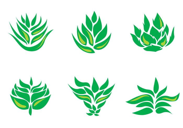 700x490 Tech Natural Herb Cdr Free Graphics Uihere