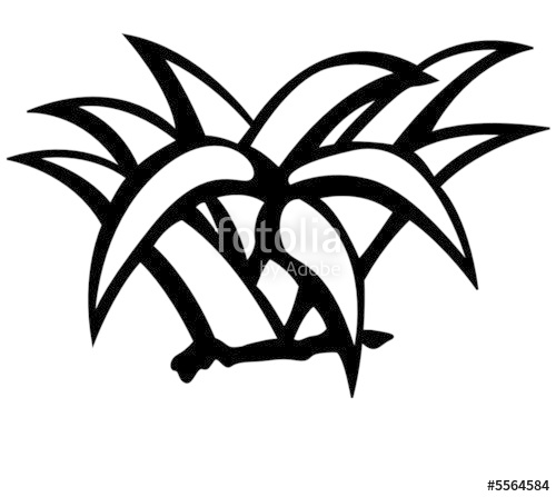 500x447 Desert Agave Or Maguey Plant Stock Image And Royalty Free Vector